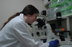 Staff Ann Mitzey looking through a microscope